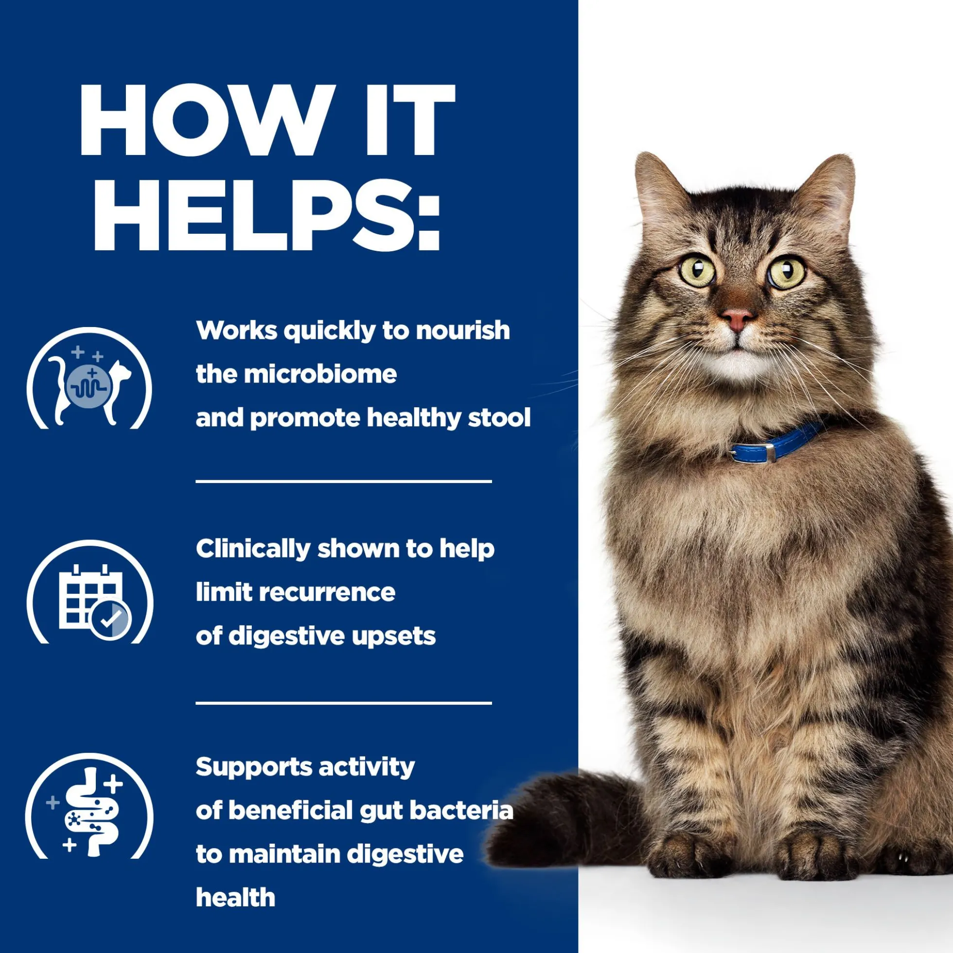 Hill's Prescription Diet - Gastrointestinal Biome - Cibo per Gatti