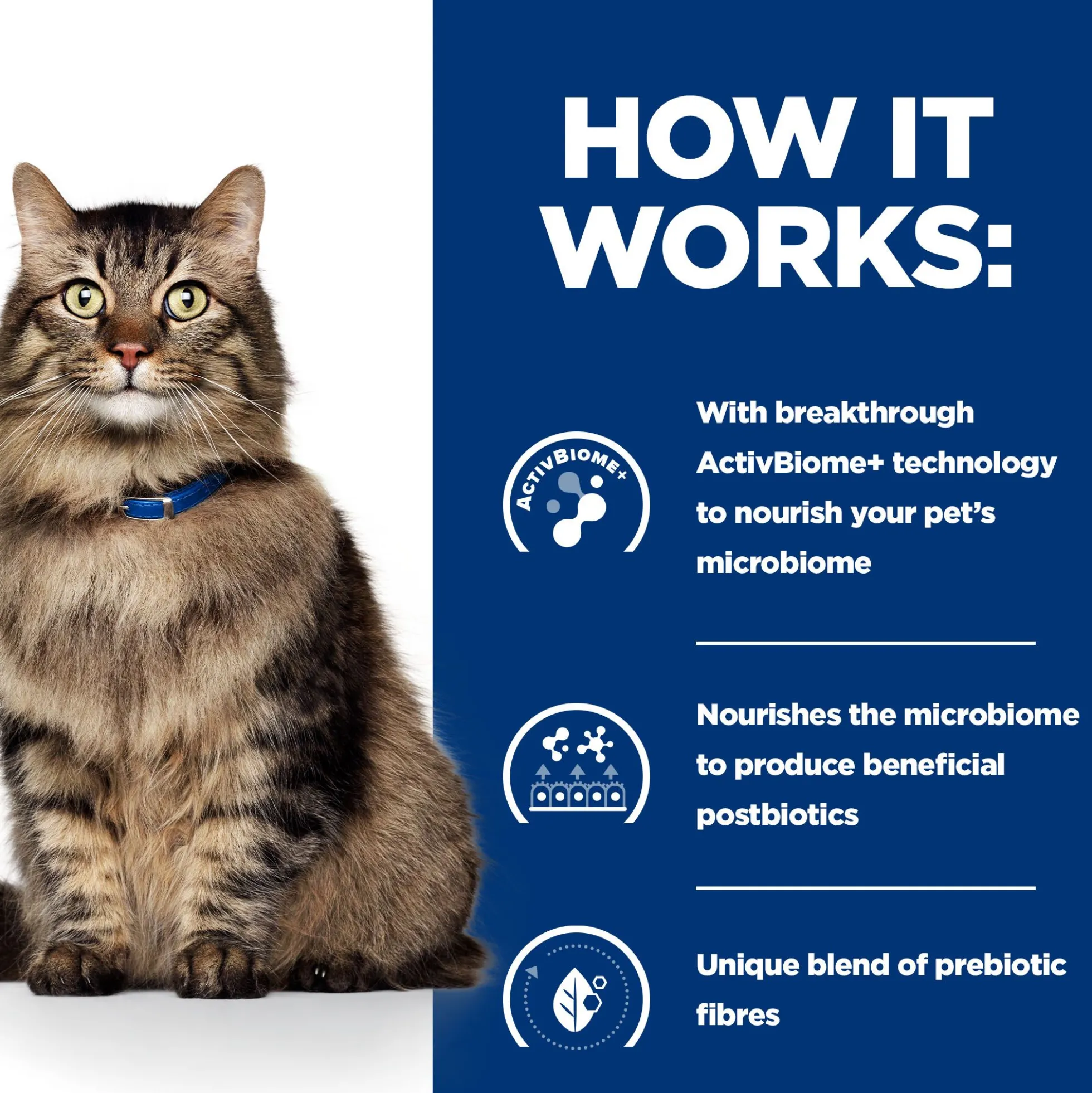 Hill's Prescription Diet - Gastrointestinal Biome - Cibo per Gatti