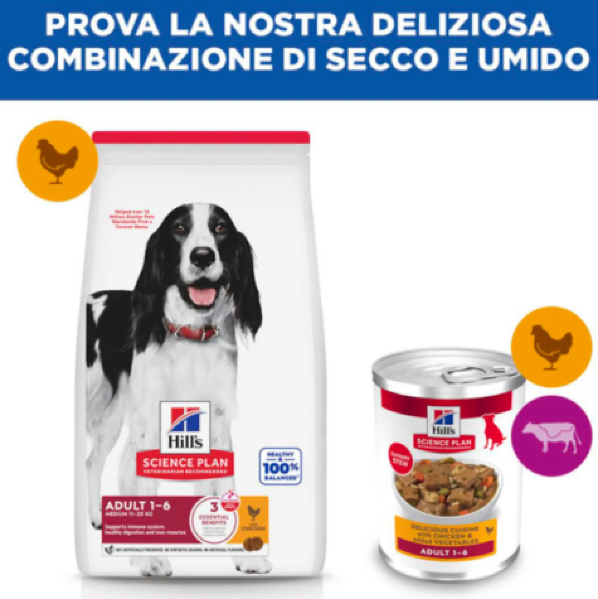 Hill's Science Plan - Adult - Spezzatino - Pollo