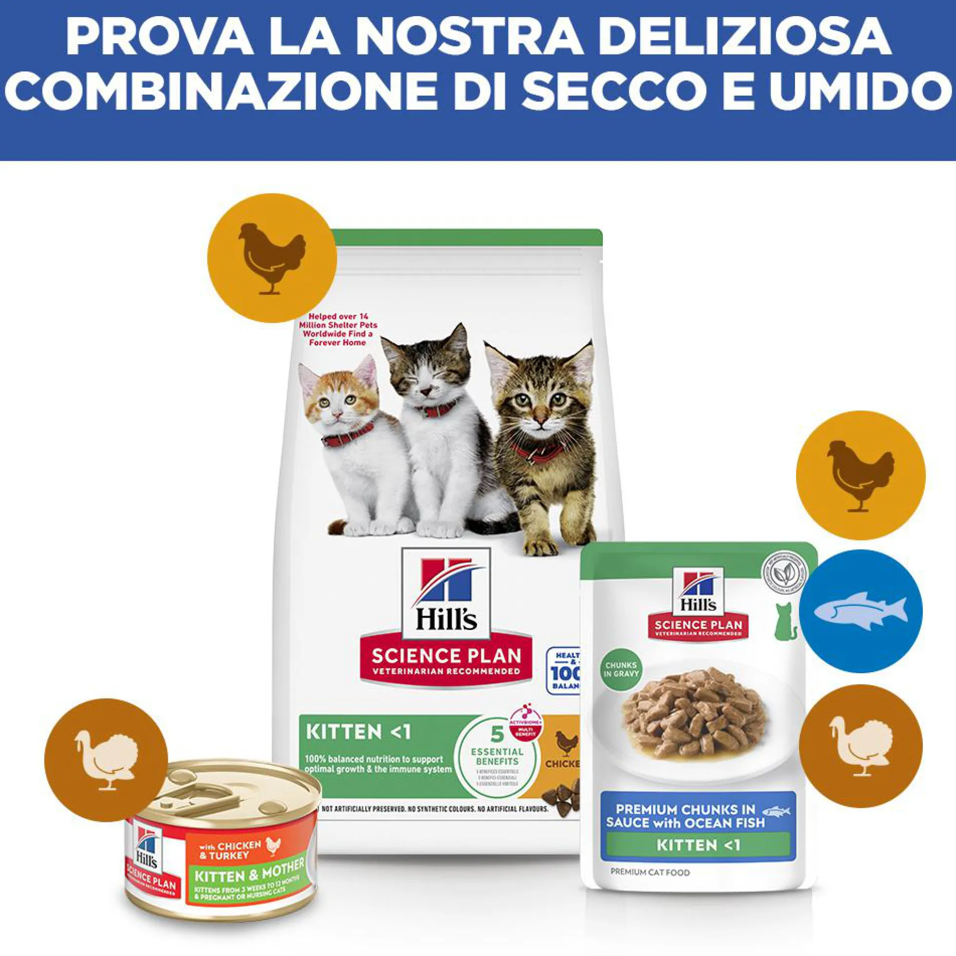 Hill's Science Plan - Kitten - Pesce di mare - Buste Cibo Umido