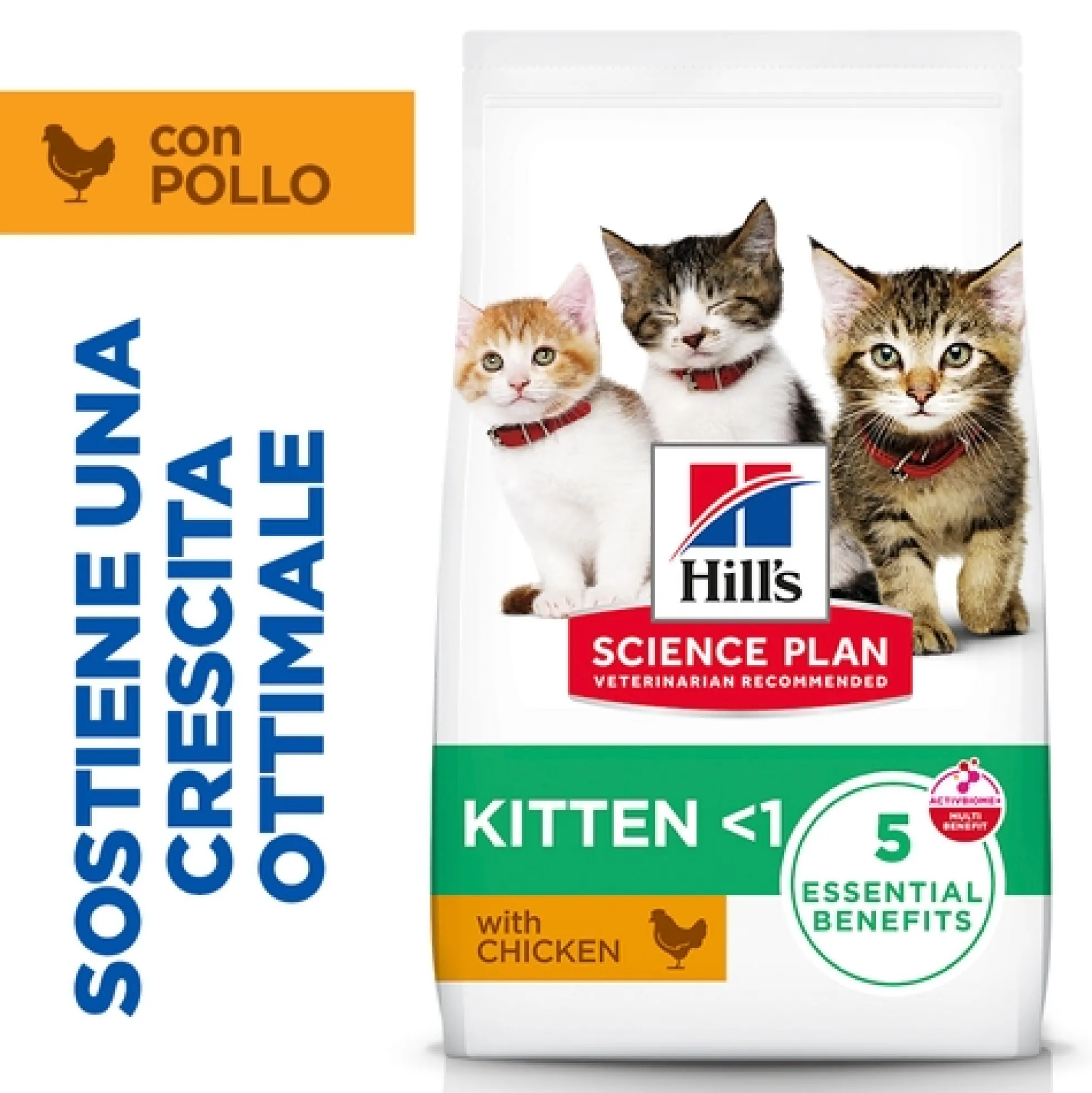Hill's Science Plan Kitten - Pollo