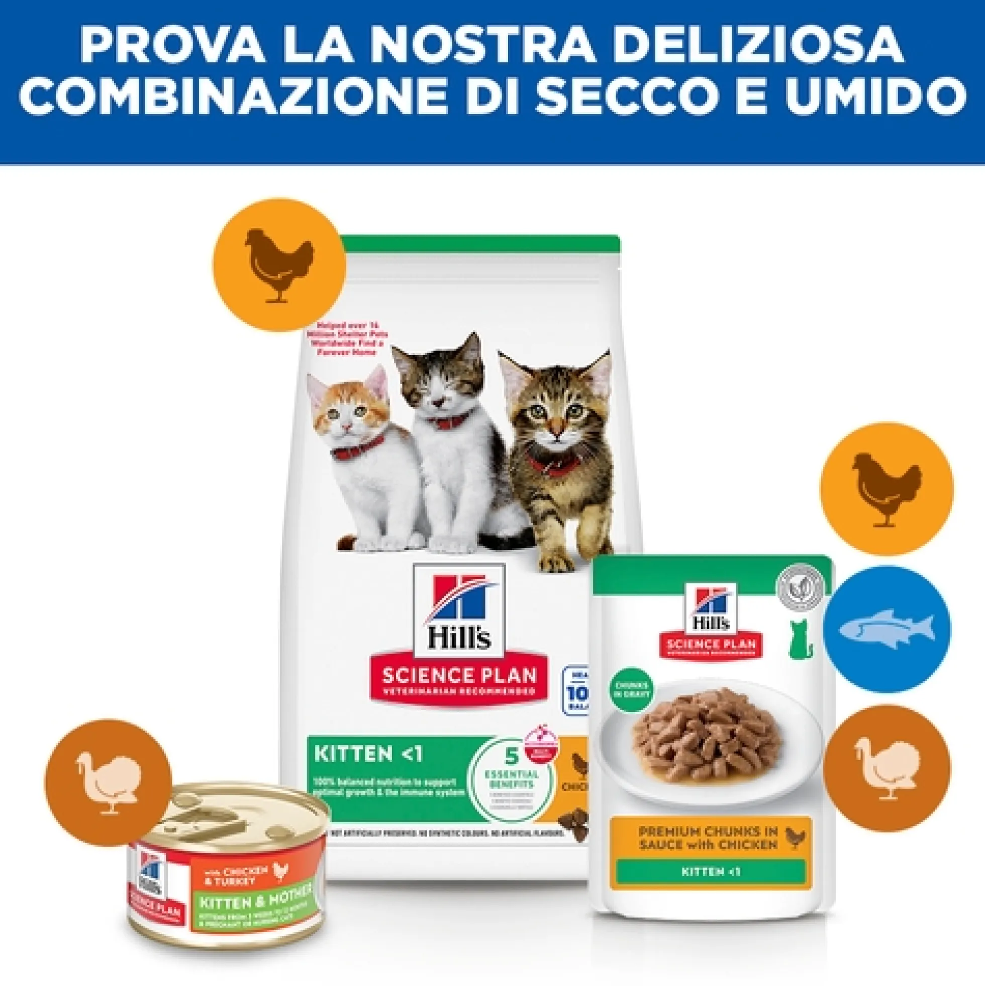 Hill's Science Plan Kitten - Pollo