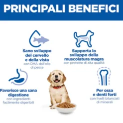 Hill's Science Plan - Large Breed - Puppy - Pollo
