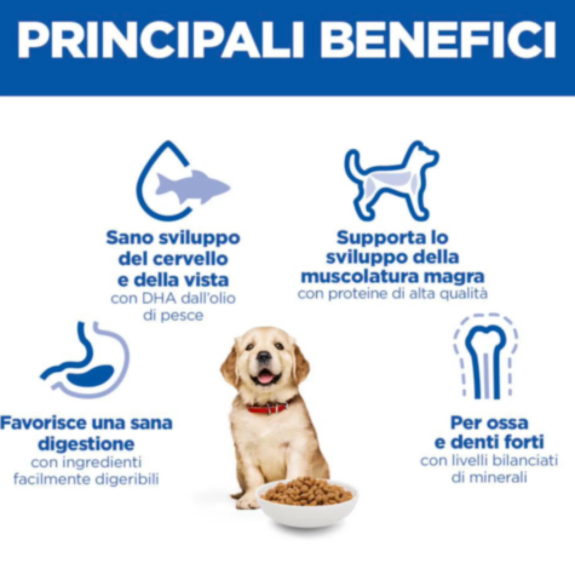 Hill's Science Plan - Large Breed - Puppy - Pollo