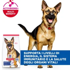 Hill's Science Plan - Large Breed - Mature Adult 6+ - Pollo