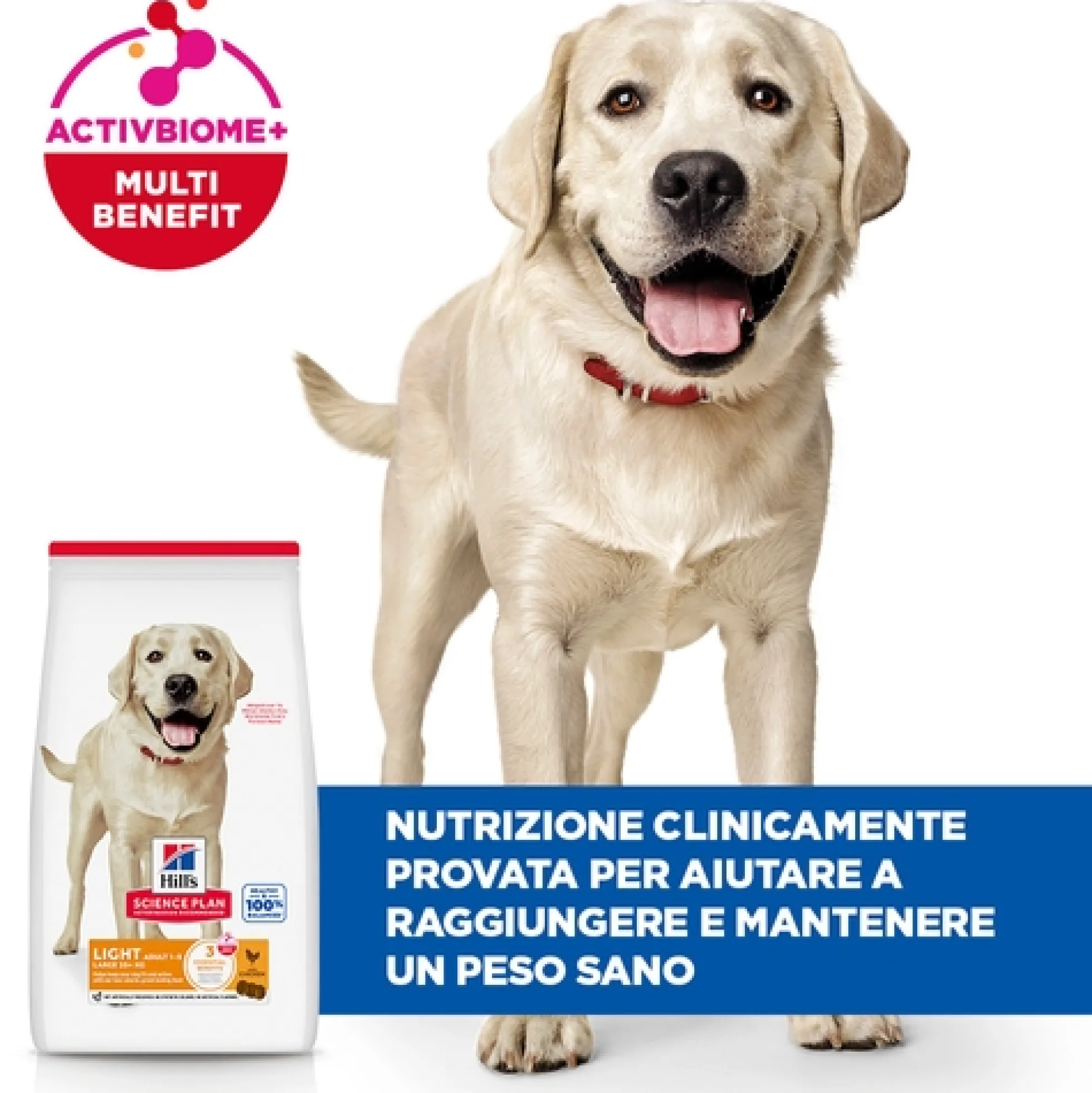 Hill's Science Plan - Large Breed - Adult - Light - Pollo