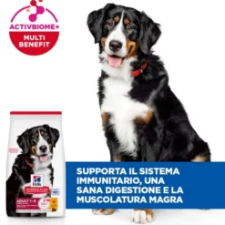 Hill's Science Plan - Large Breed - Adult - Pollo