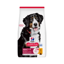 Hill's Science Plan - Large Breed - Adult - Pollo