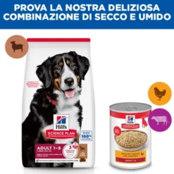 Hill's Science Plan Large Breed - Adult - Agnello e Riso