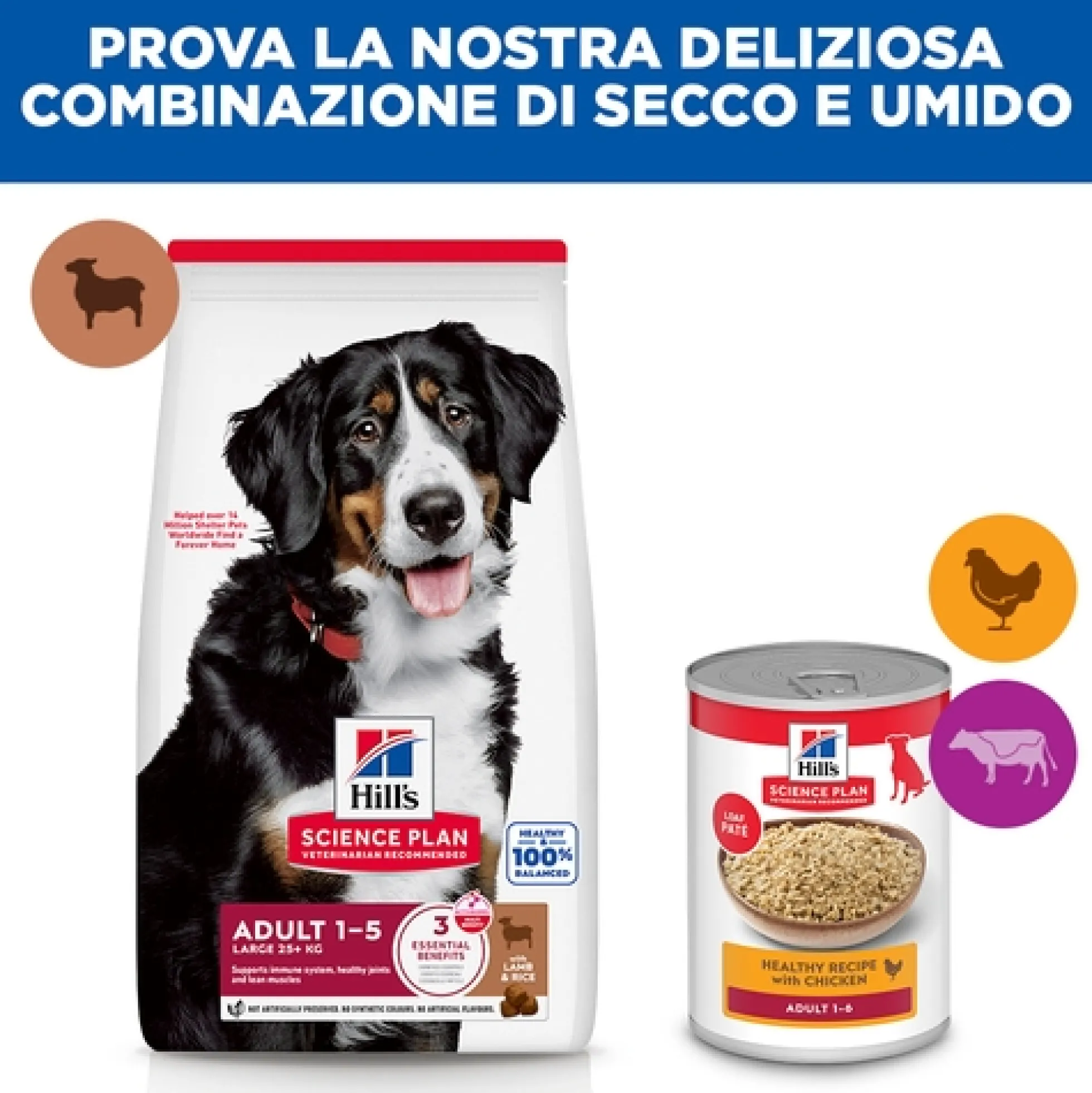 Hill's Science Plan Large Breed - Adult - Agnello e Riso