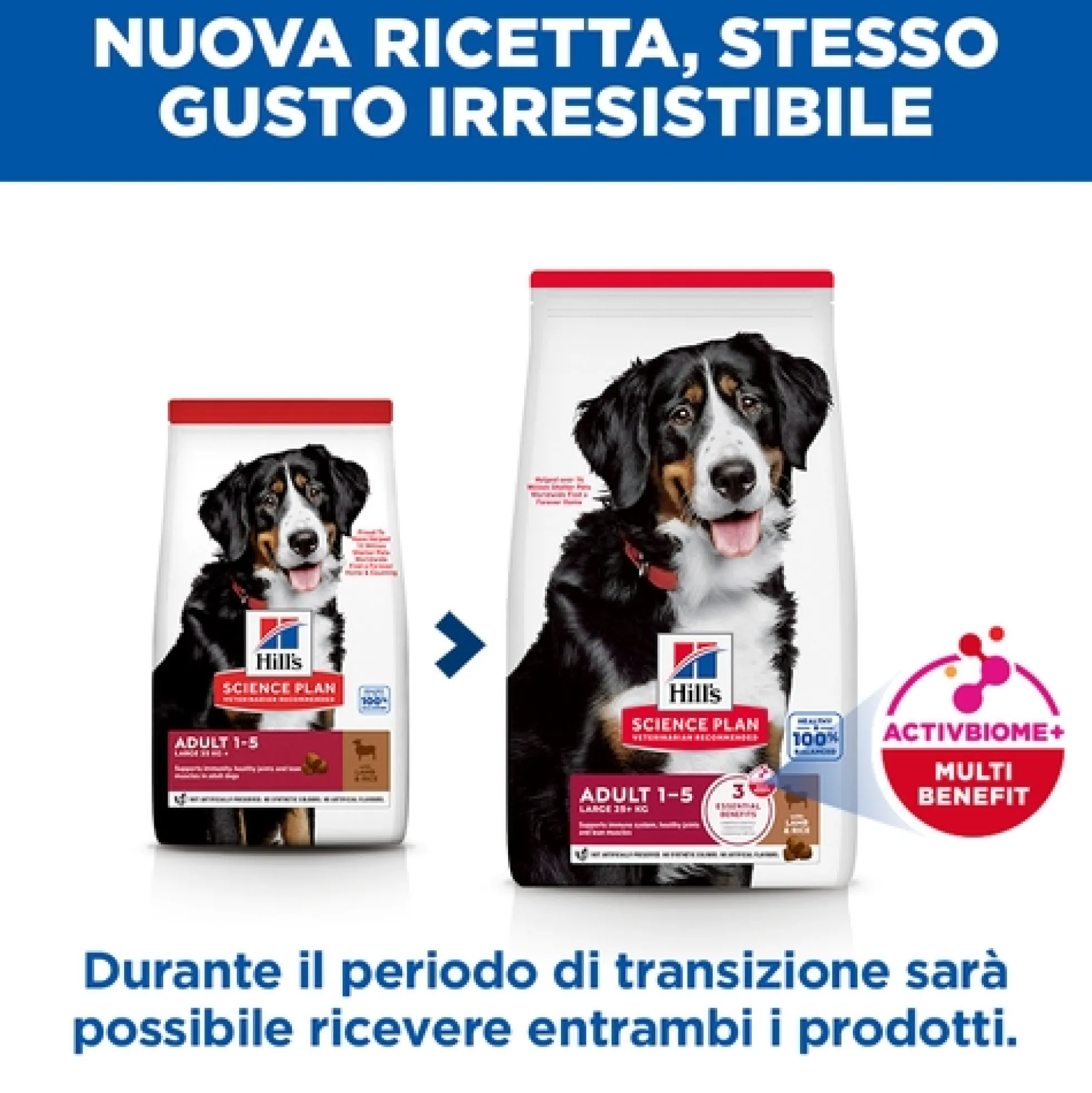 Hill's Science Plan Large Breed - Adult - Agnello e Riso