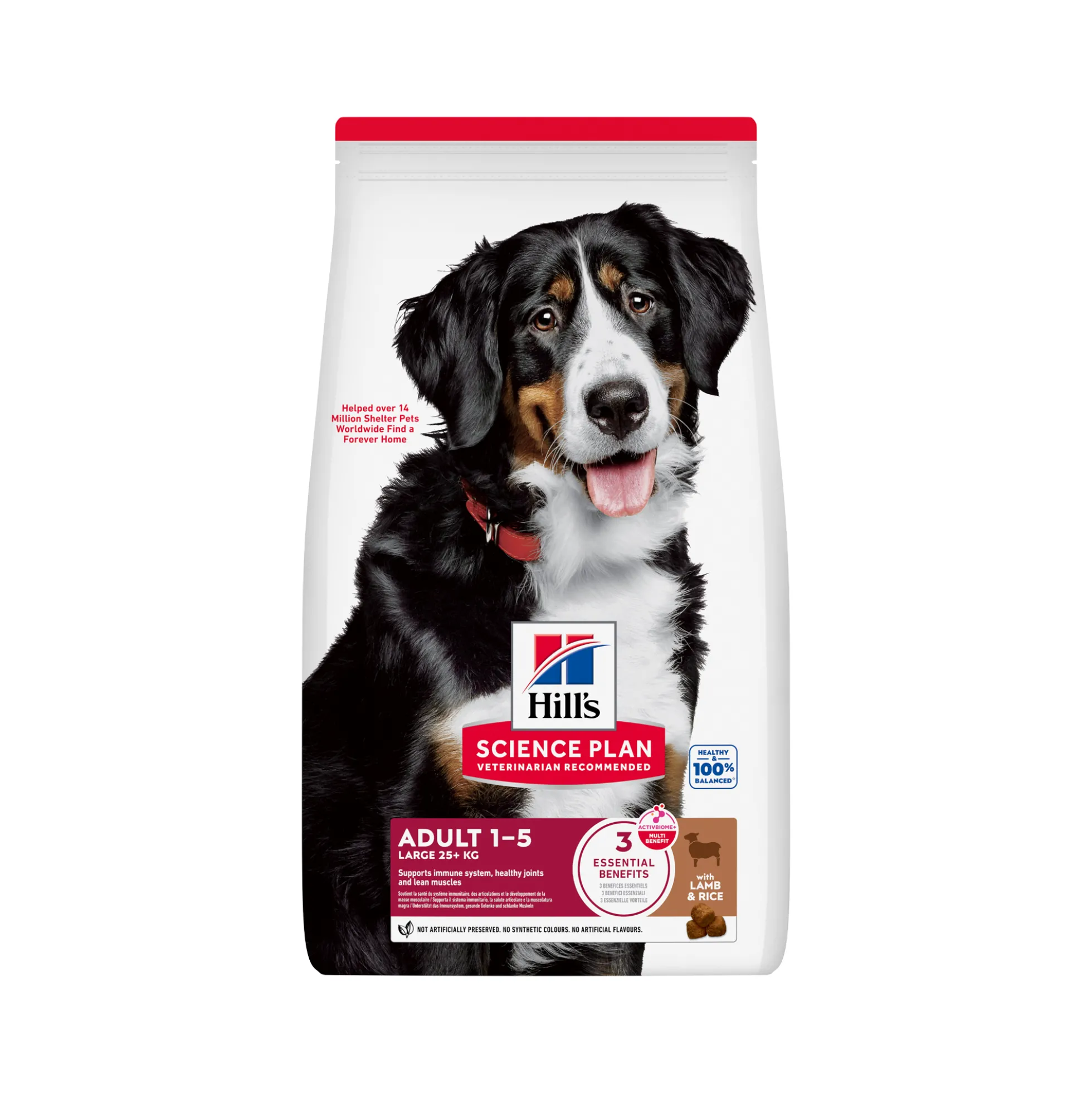 Hill's Science Plan Large Breed - Adult - Agnello e Riso