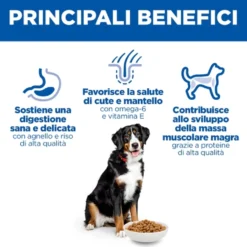 Hill's Science Plan Large Breed - Adult - Agnello e Riso