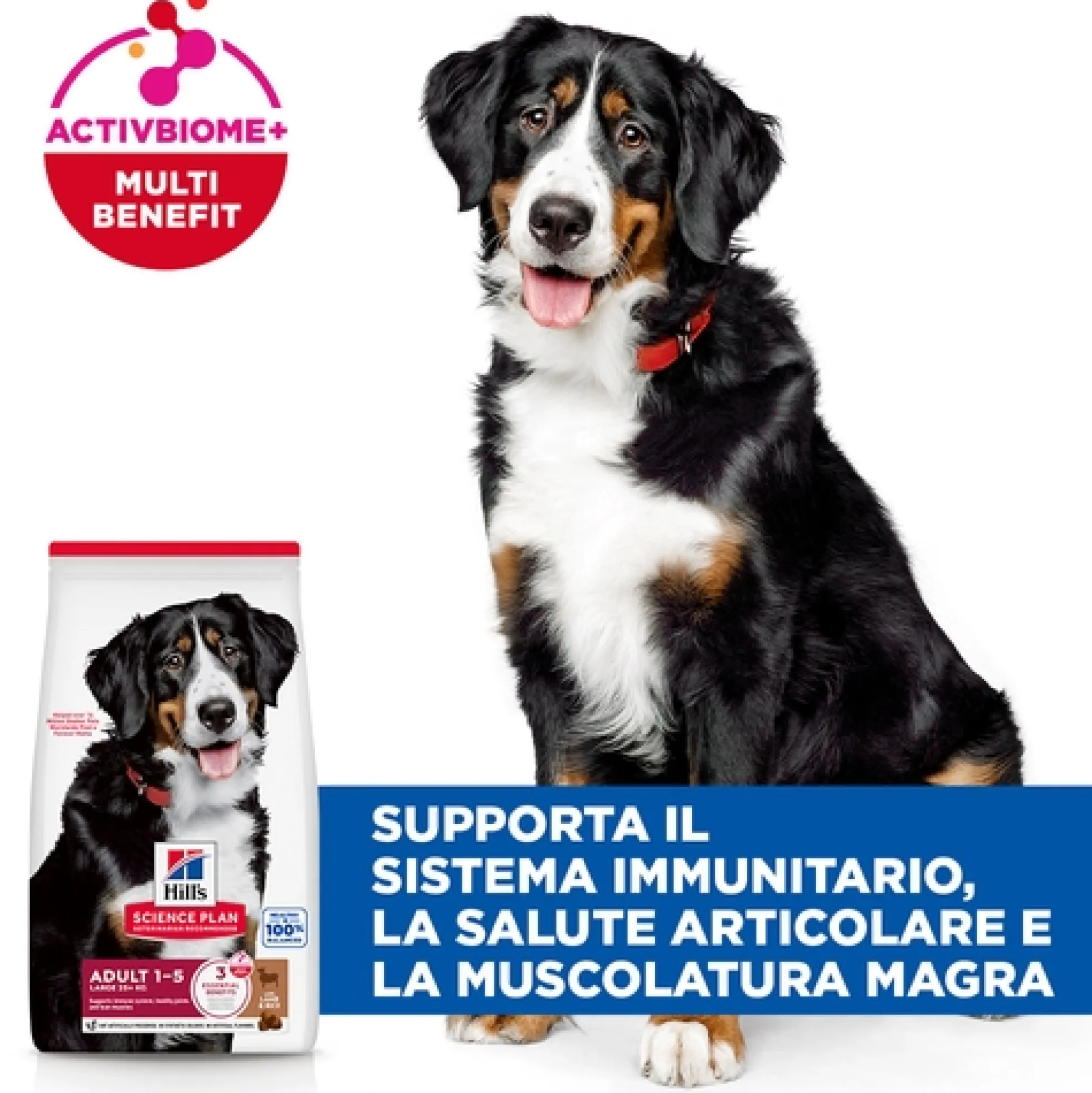 Hill's Science Plan Large Breed - Adult - Agnello e Riso