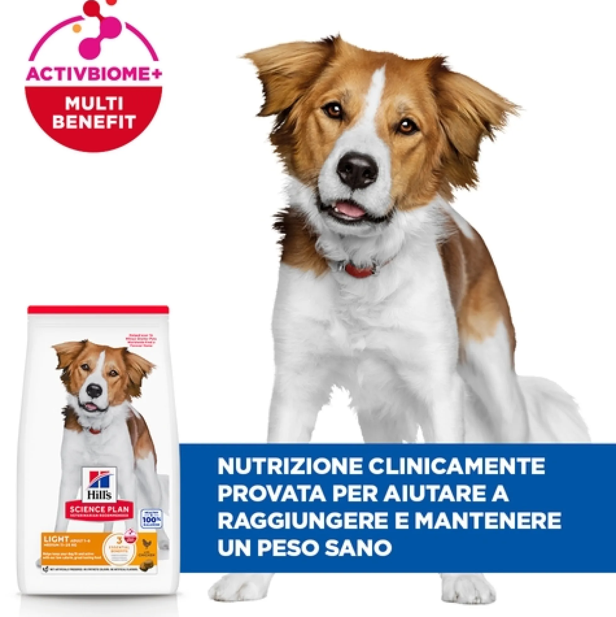 Hill's Science Plan - Medium - Adult - Light - Pollo