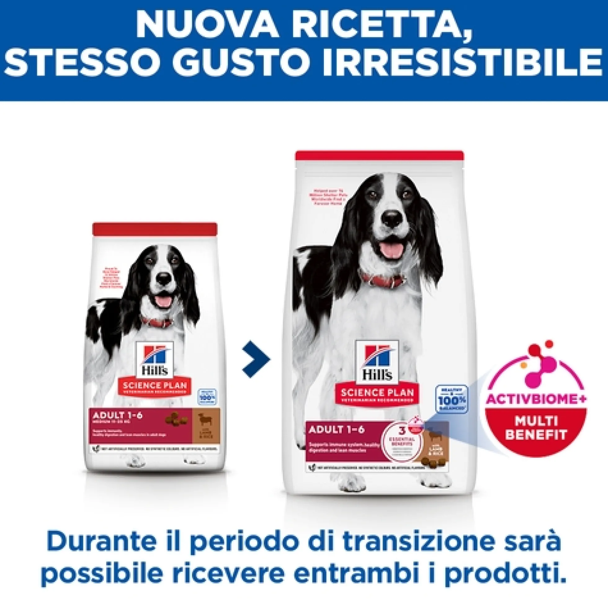 Hill's Science Plan Medium - Adult - Agnello e Riso