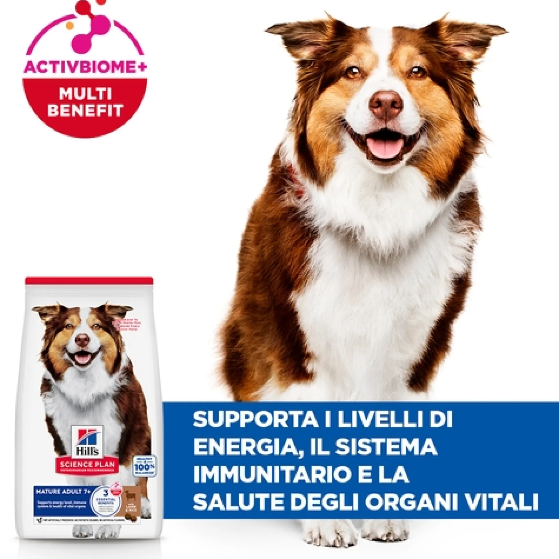 Hill's Science Plan - Medium - Mature Adult 7+ - Agnello e Riso