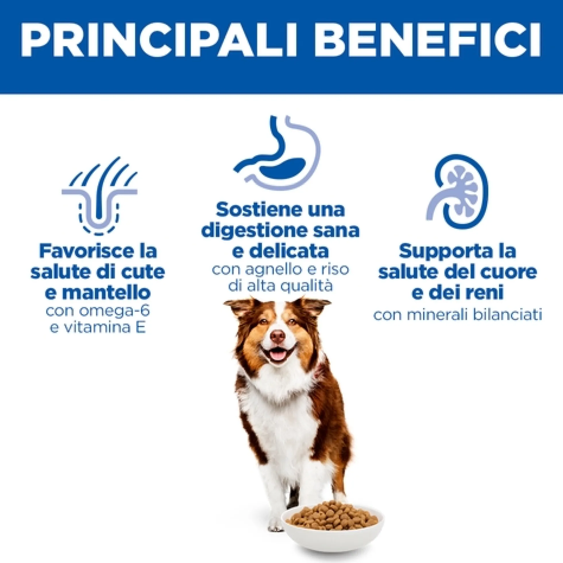 Hill's Science Plan - Medium - Mature Adult 7+ - Agnello e Riso