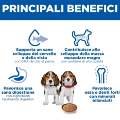 Hill's Science Plan - Medium - Puppy - Pollo - Lattina