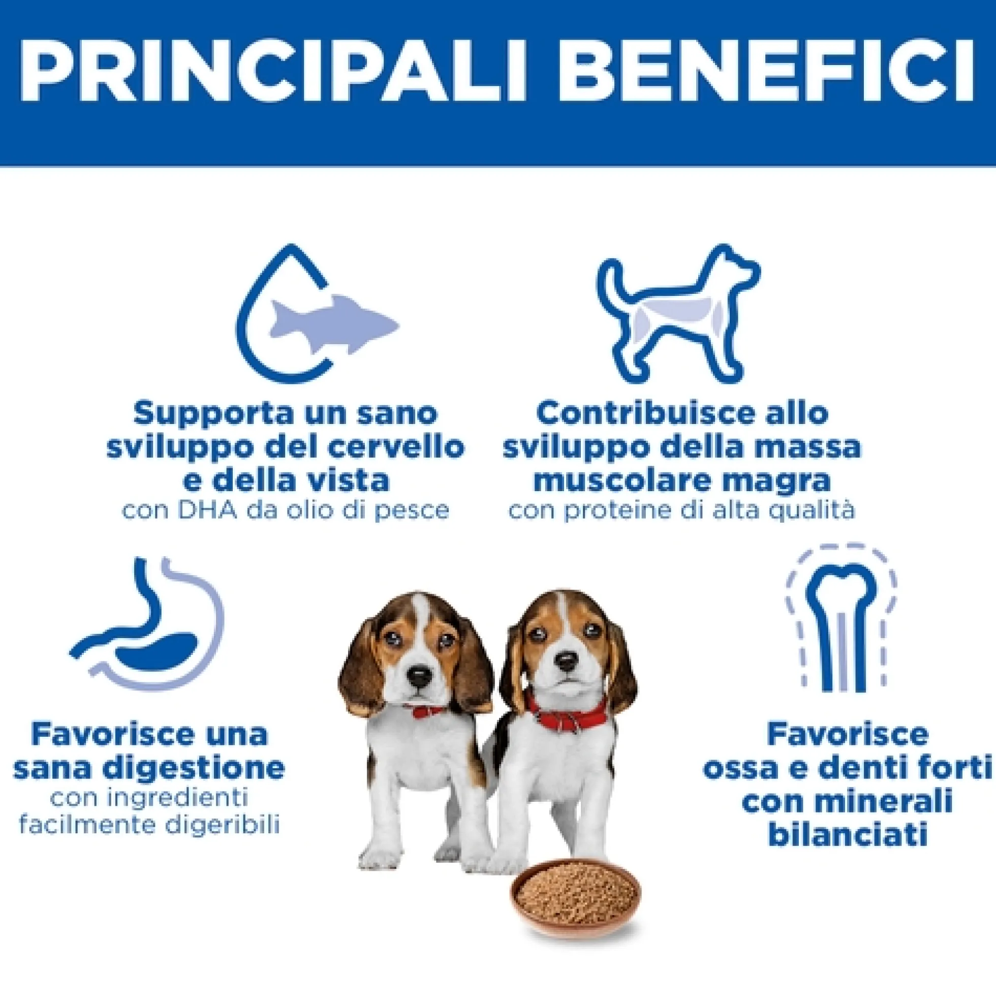 Hill's Science Plan - Medium - Puppy - Pollo - Lattina