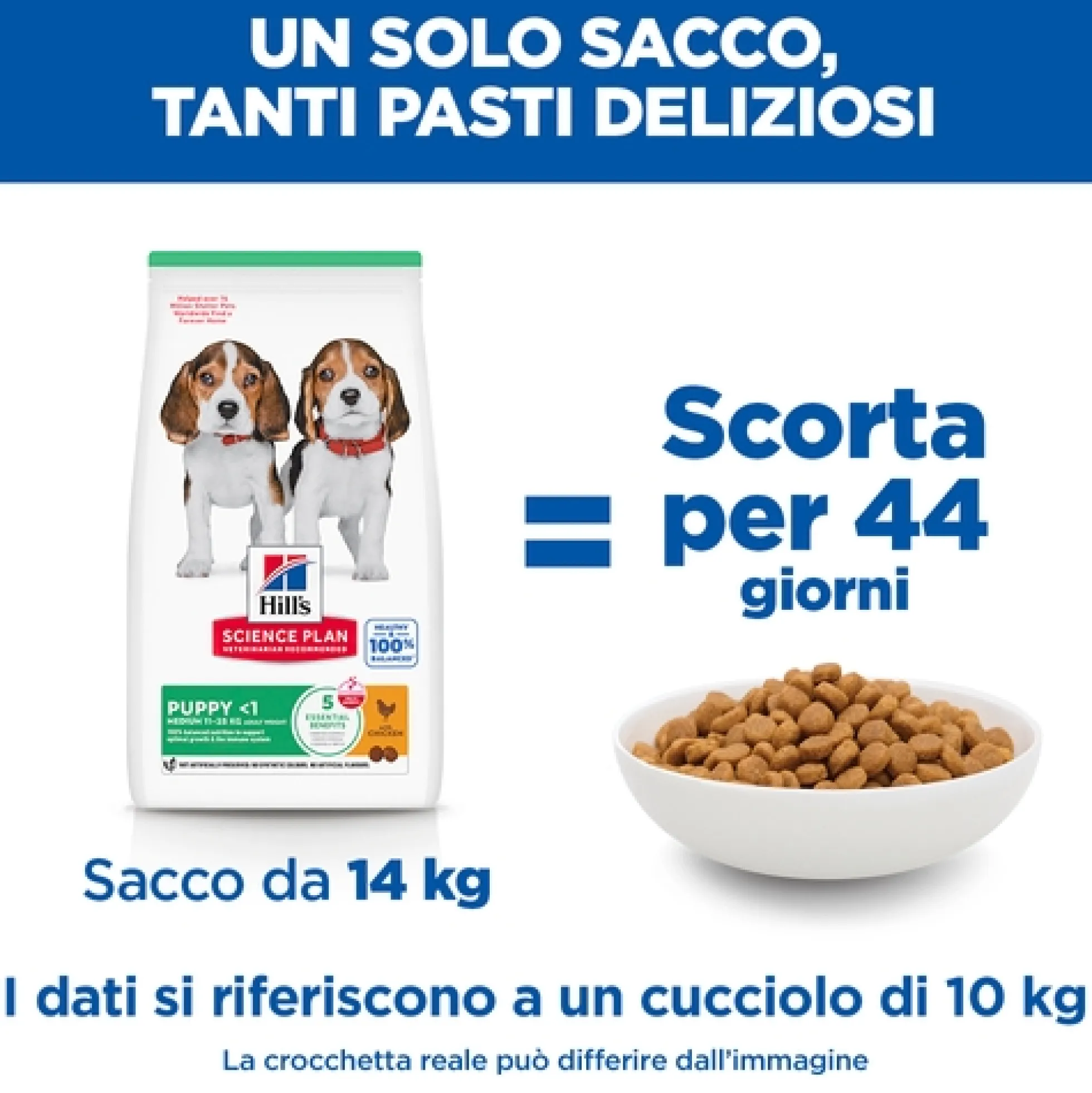 Hill's Science Plan - Puppy - Medium - Pollo