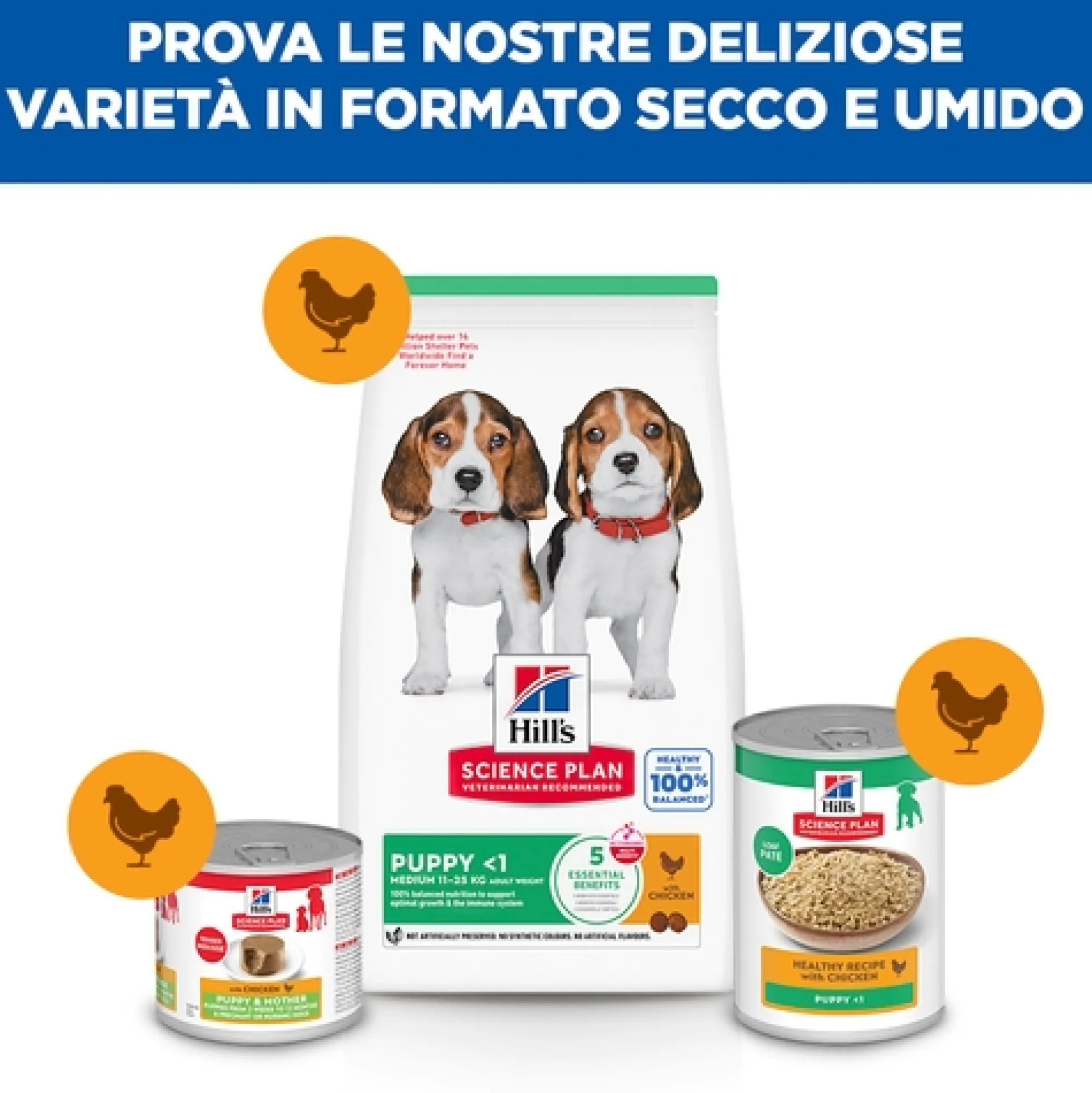 Hill's Science Plan - Puppy - Medium - Pollo
