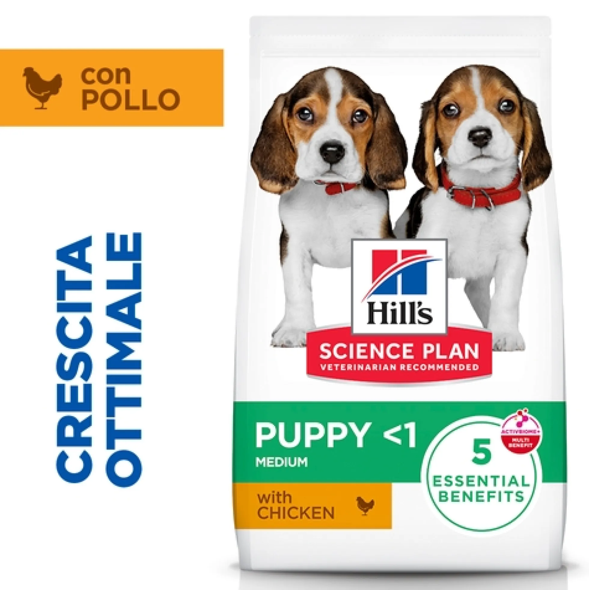 Hill's Science Plan - Puppy - Medium - Pollo