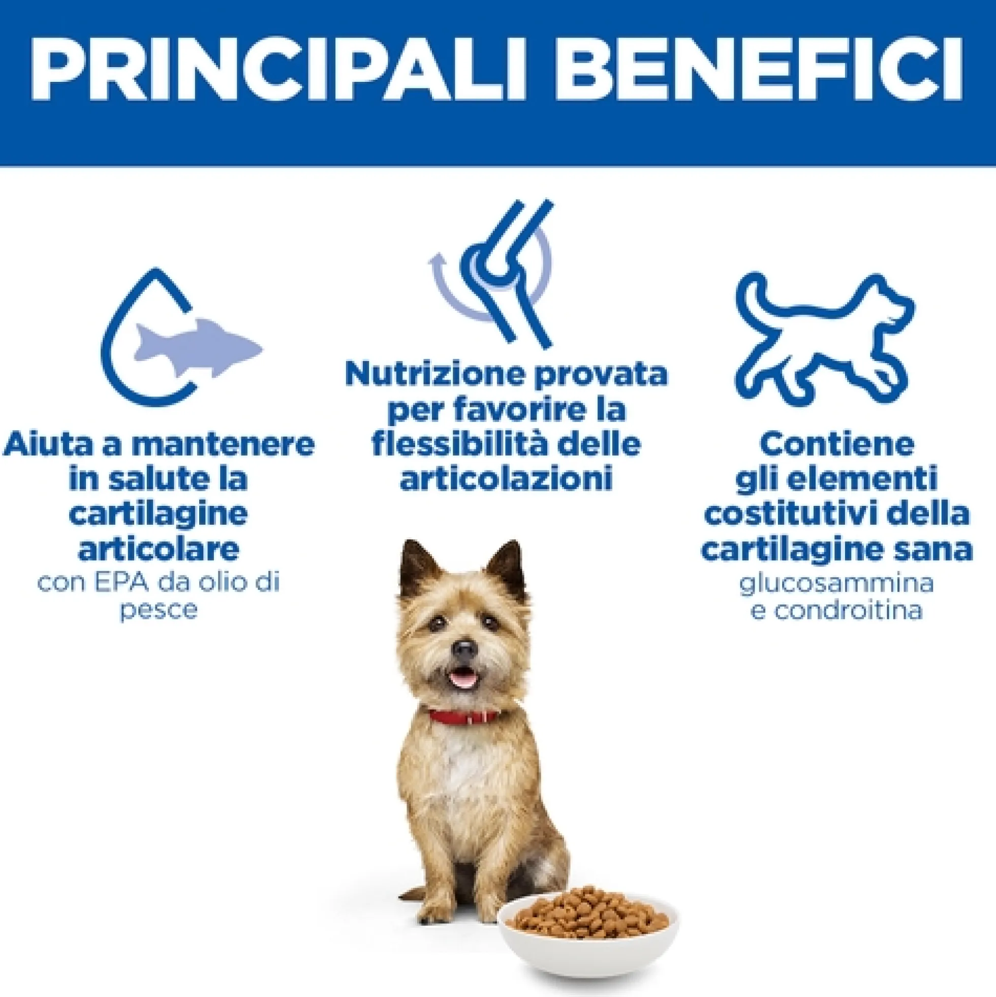 Hill's Science Plan Small & Mini - Healthy Mobility Adult - Pollo