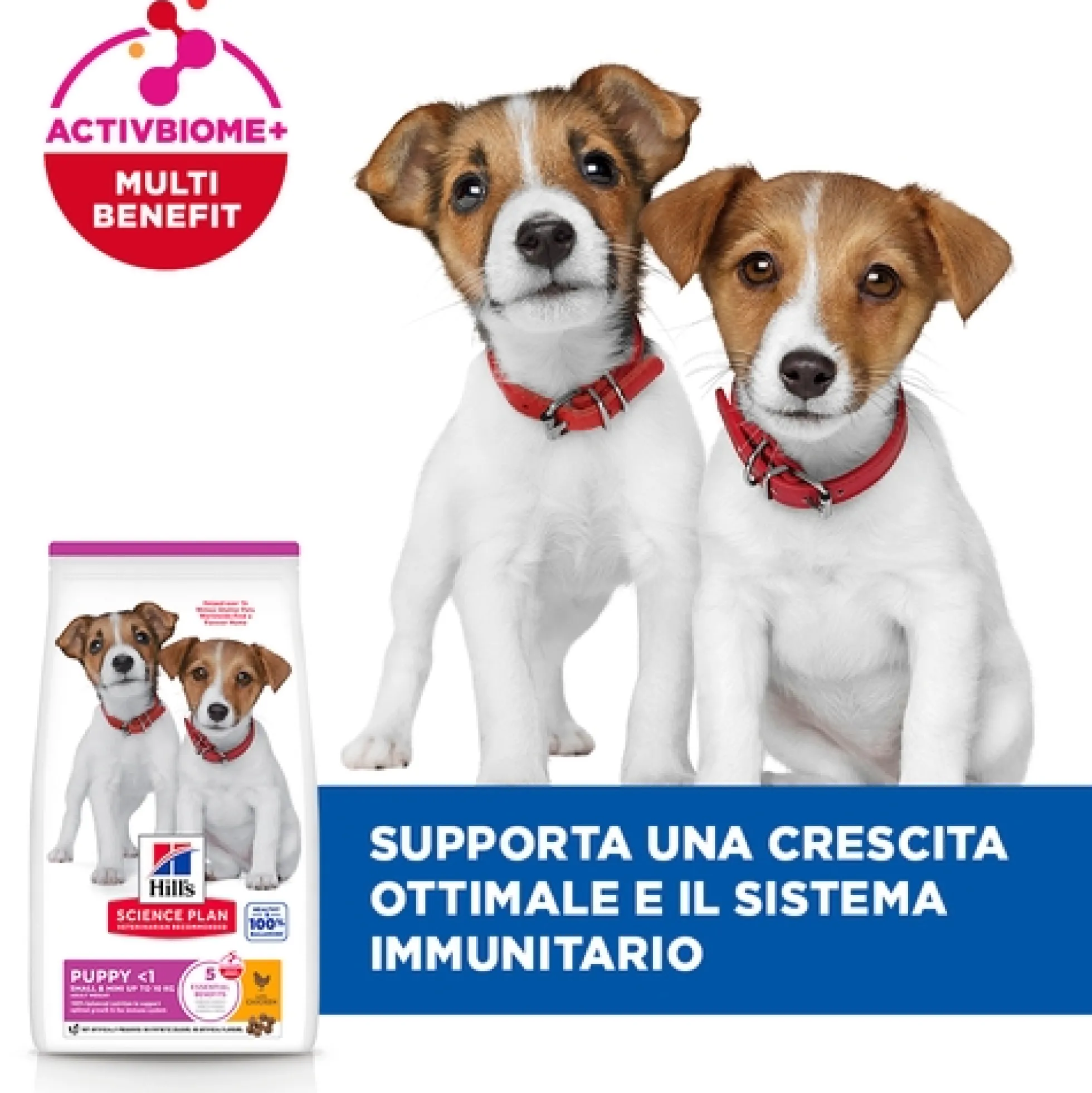 Hill's Science Plan Small & Mini - Puppy - Pollo