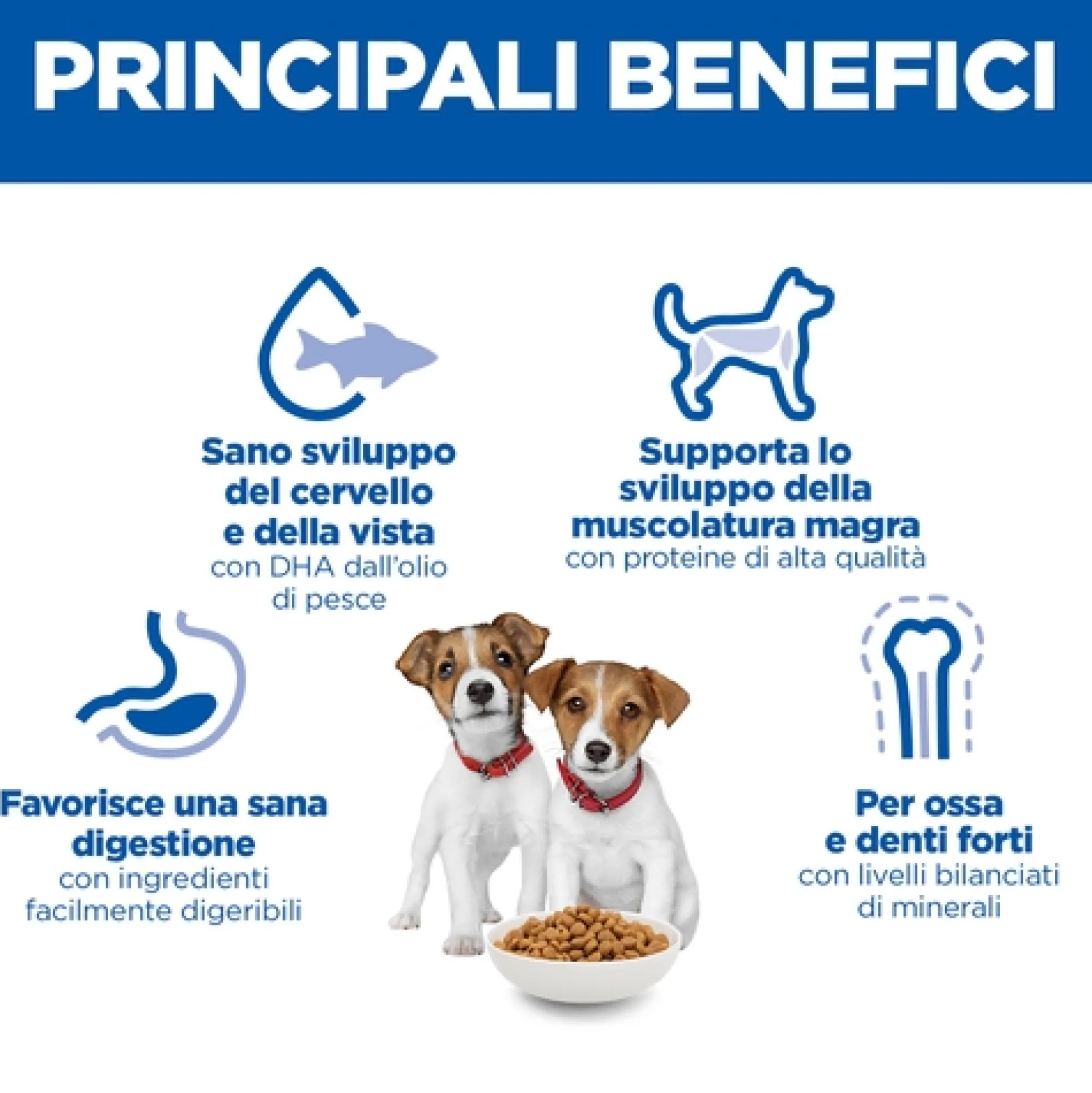Hill's Science Plan Small & Mini - Puppy - Pollo