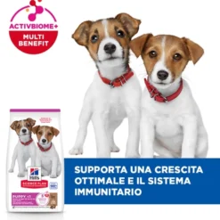 Hill's Science Plan Small & Mini - Puppy - Agnello e Riso
