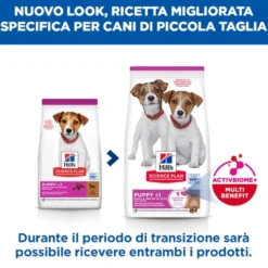 Hill's Science Plan Small & Mini - Puppy - Agnello e Riso
