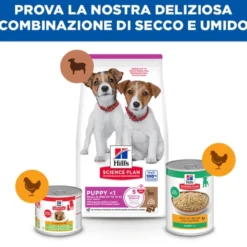 Hill's Science Plan Small & Mini - Puppy - Agnello e Riso