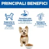 Hill's Science Plan Small & Mini - Adult - Pollo