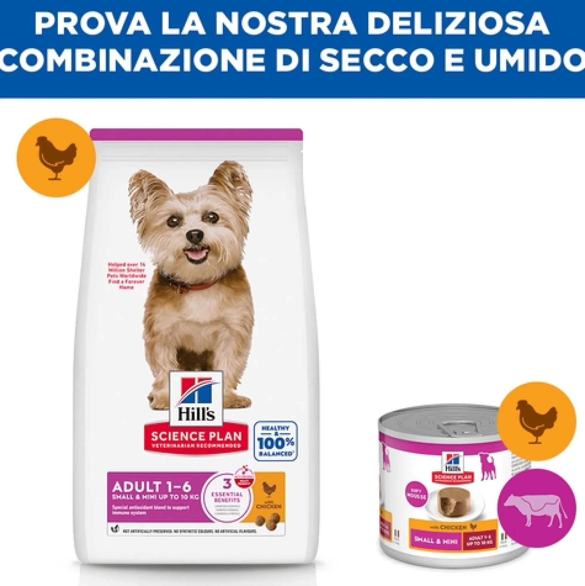 Hill's Science Plan Small & Mini - Adult - Pollo
