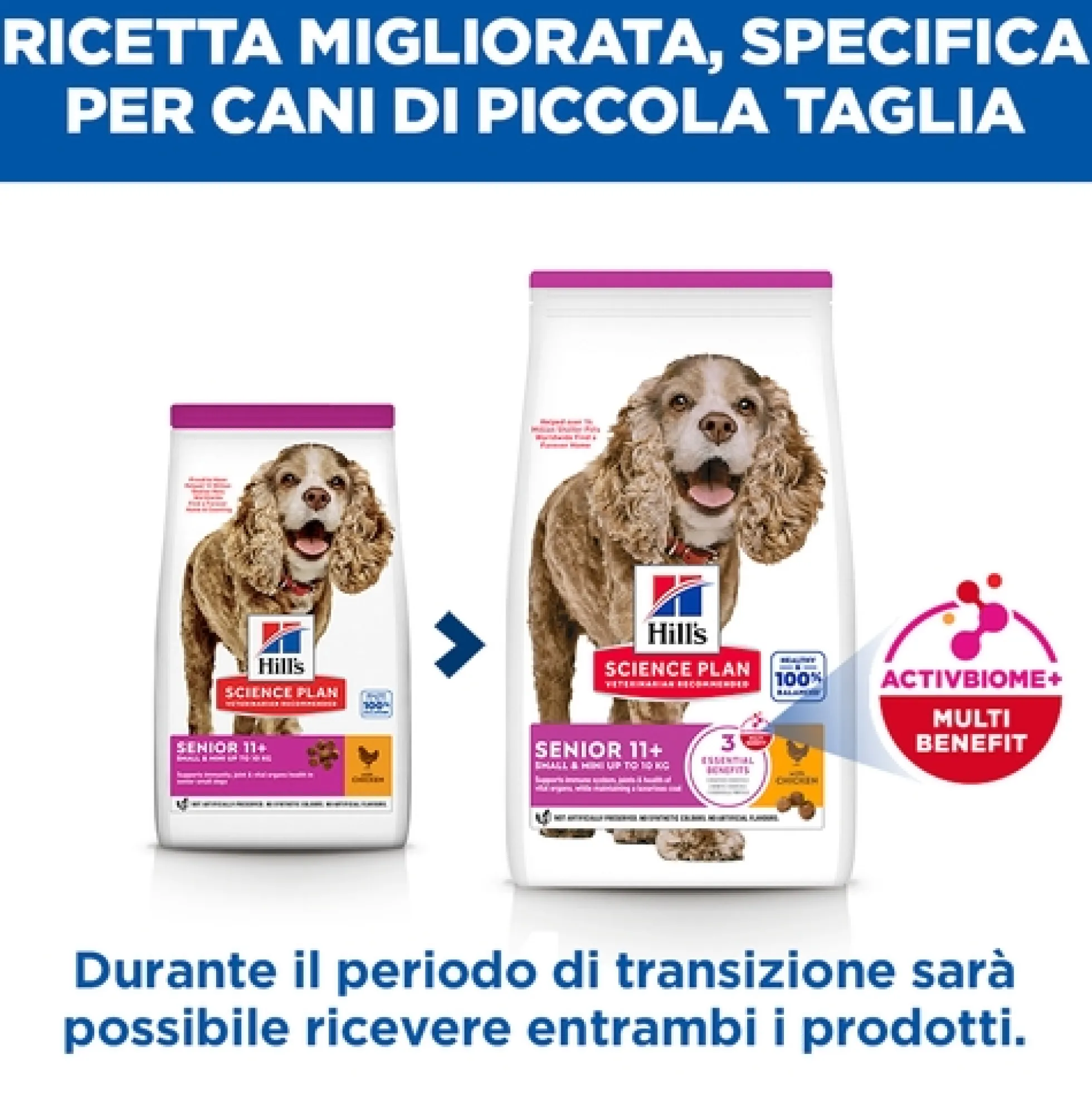 Hill's Science Plan Small & Mini - Senior 11+ - Pollo