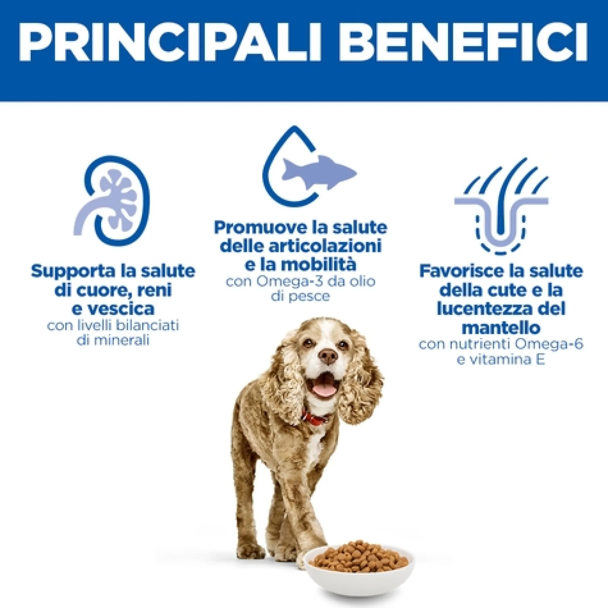 Hill's Science Plan Small & Mini - Senior 11+ - Pollo