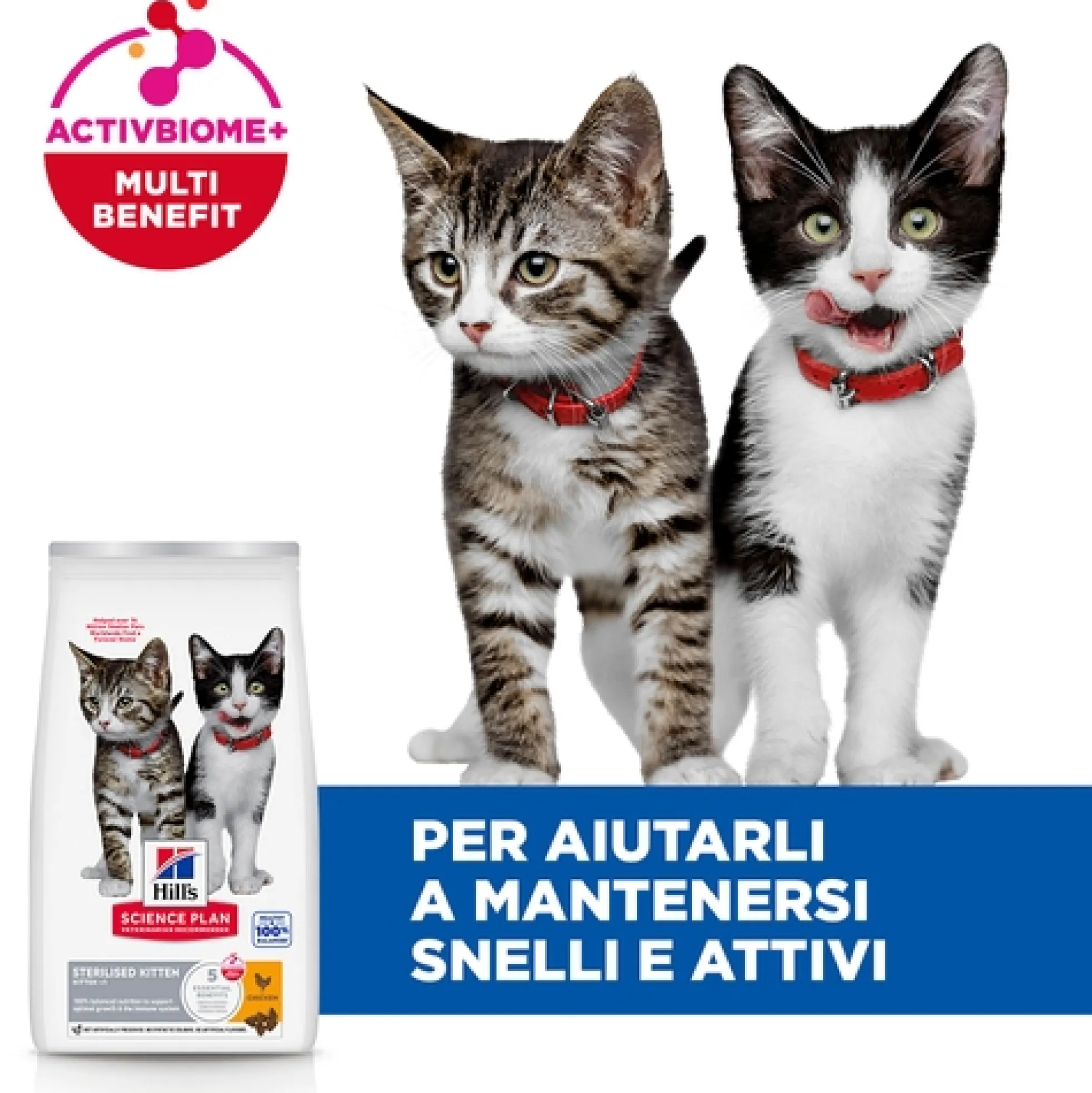 Hill's Science Plan Sterilised - Kitten - Pollo
