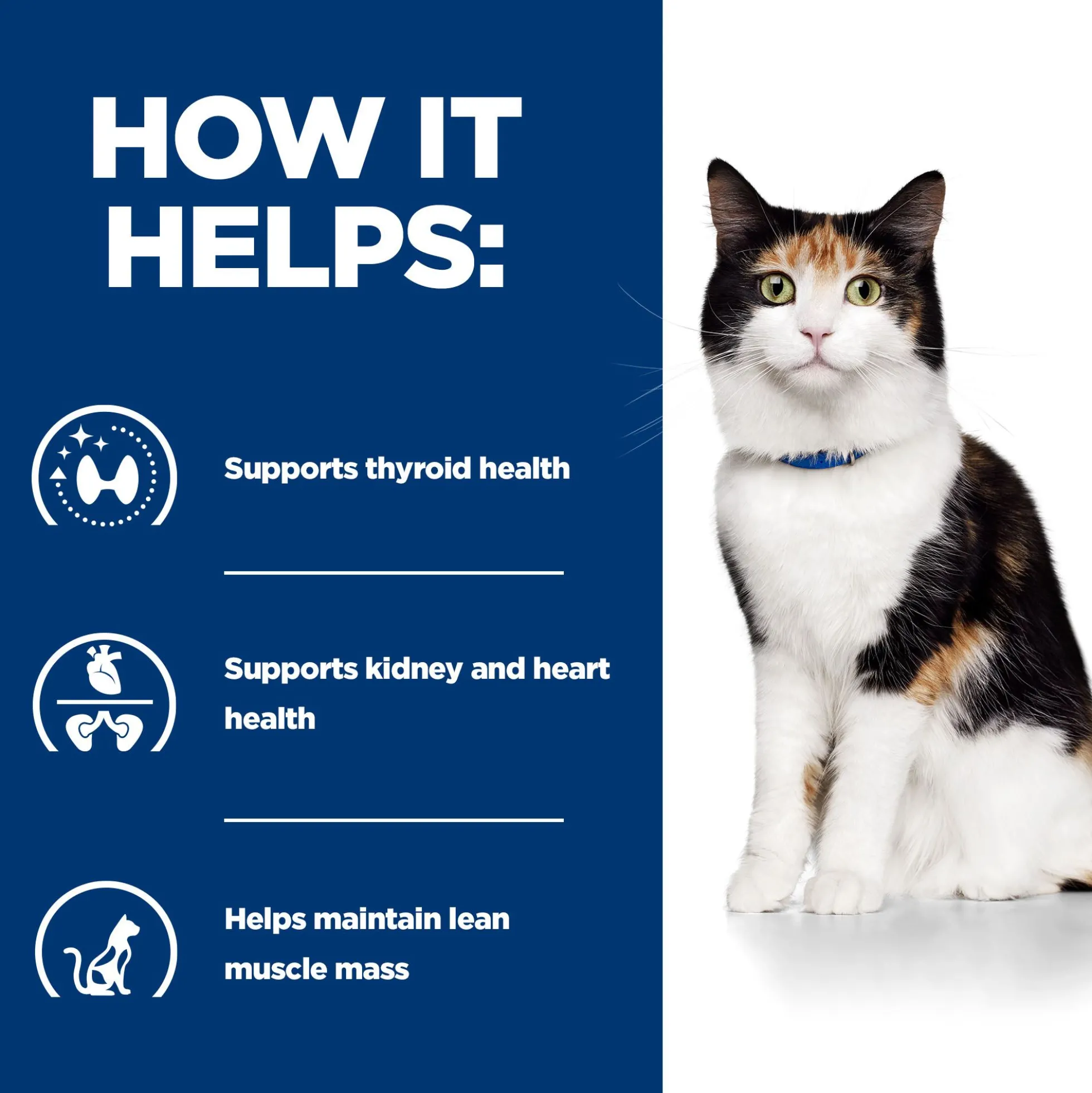 Hill's y/d Thyroid Care - Prescription Diet - Gatto - Lattina