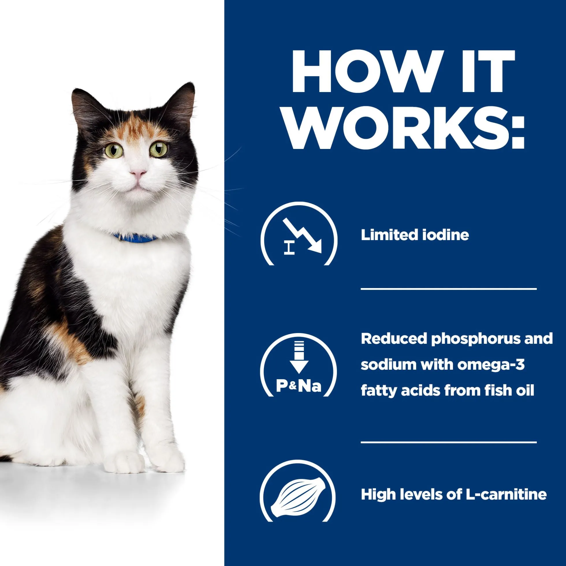 Hill's y/d Thyroid Care - Prescription Diet - Gatto - Lattina