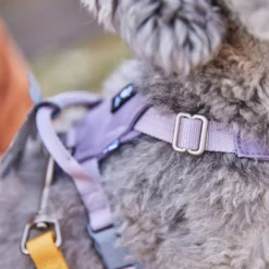 Hurtta Harness Seeker