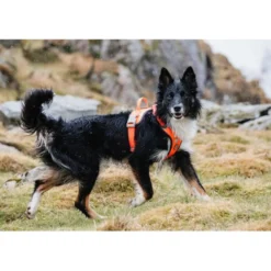 Hurtta Weekend Warrior Harness