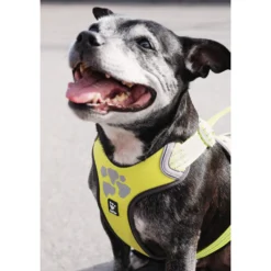 Hurtta Weekend Warrior Harness
