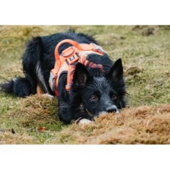 Hurtta Weekend Warrior Harness