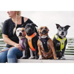 Hurtta Weekend Warrior Harness