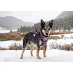 Hurtta Weekend Warrior Harness