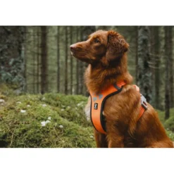 Hurtta Weekend Warrior Harness