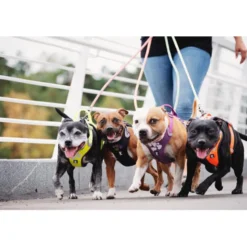 Hurtta Weekend Warrior Harness