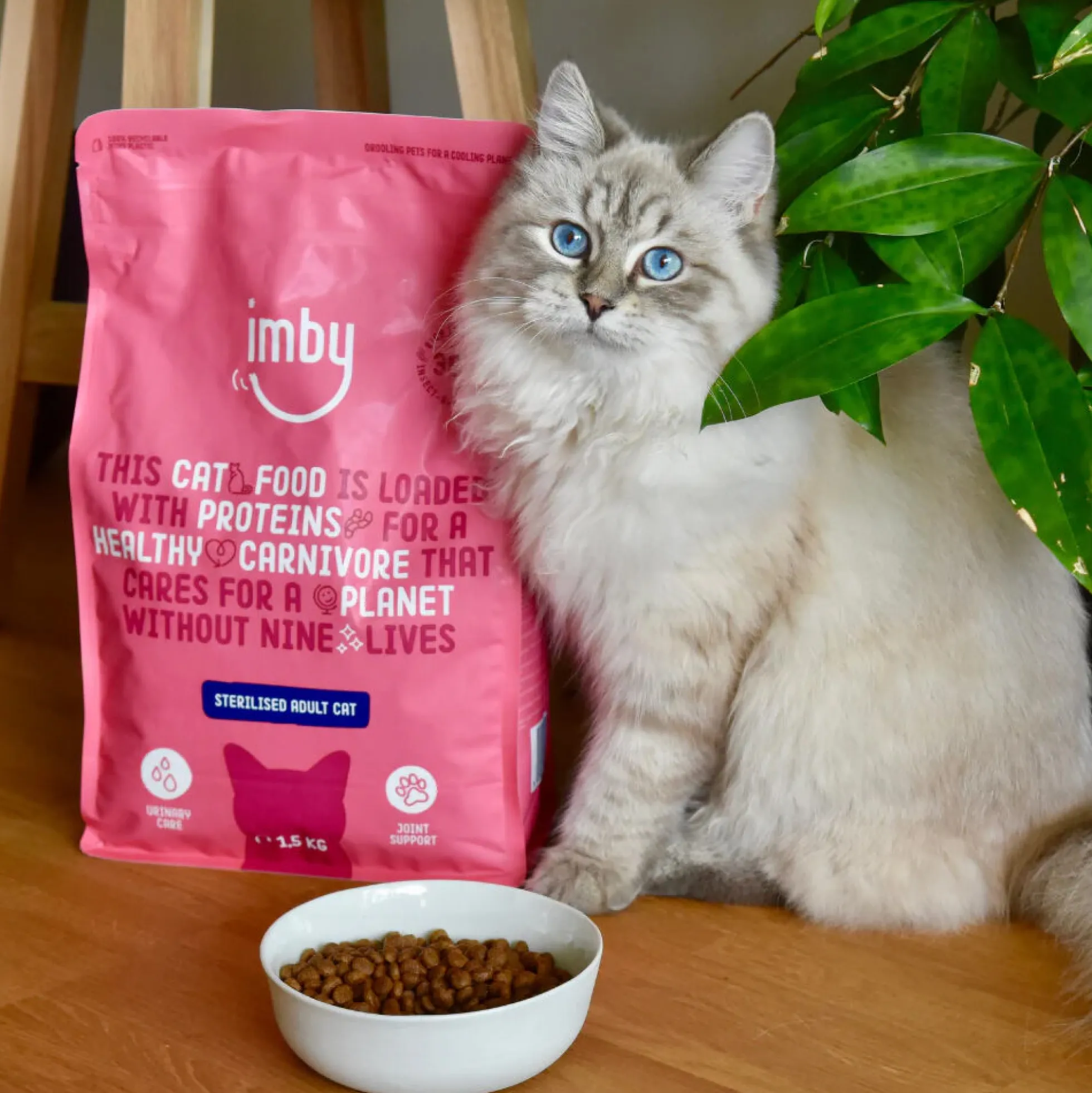 Imby Insect-based Cibo per gatti