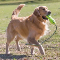 KONG Air Fetch Stick